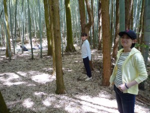 Supporting yoga in bamboo grove