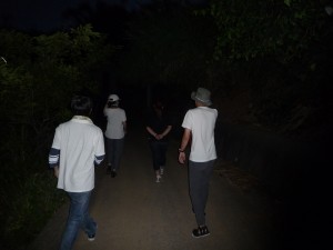 Walk along the night road to the hill